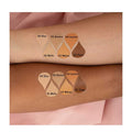 Corrector de ojeras con brocha Ani-k